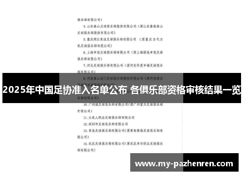 2025年中国足协准入名单公布 各俱乐部资格审核结果一览