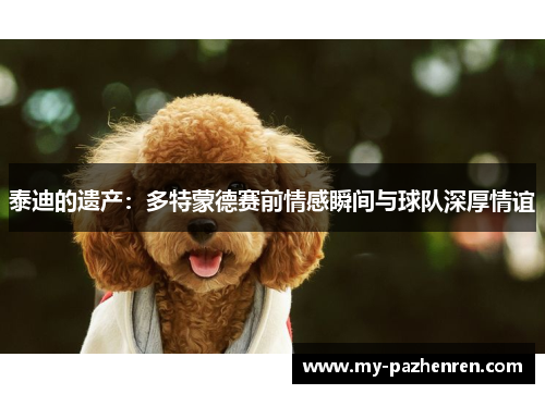 泰迪的遗产：多特蒙德赛前情感瞬间与球队深厚情谊
