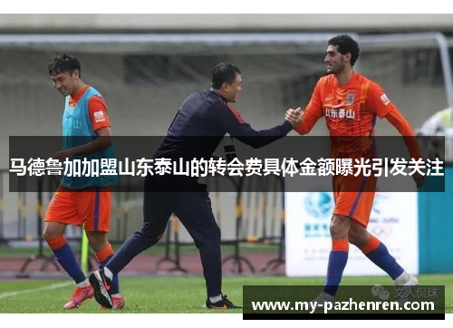 马德鲁加加盟山东泰山的转会费具体金额曝光引发关注