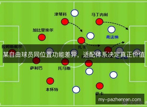 某自由球员同位置功能差异,适配体系决定真正价值 某自由球员同位置功能差异,适配体系决定真正价值